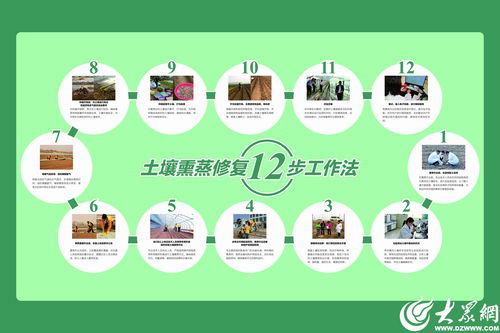 濰坊模式顯成效 全國首個生姜土壤熏蒸服務規范出爐，信息技術賦能農業新篇章